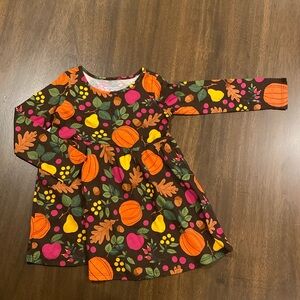 Fall small bundle toddler size 2 dress and shirt